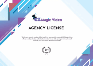 EZ Magic Video Local Edition Review